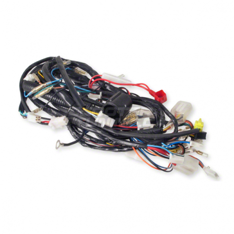 Complete Wiring Harness PGO Bigmax