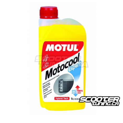 Motul Coolant Motocool Expert