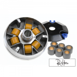 Variator Polini Hi-Speed Dio-Elite