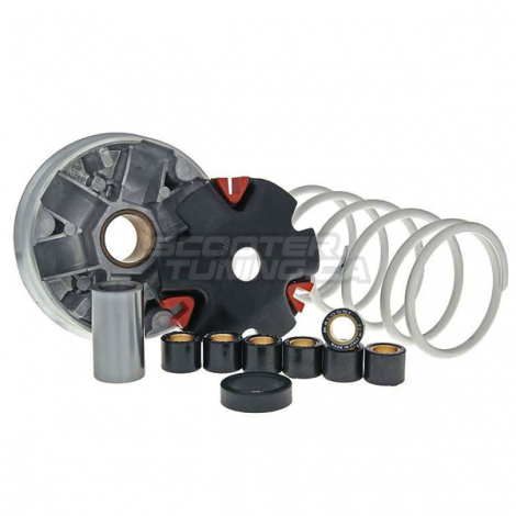 Variator Malossi Multivar (AF16)