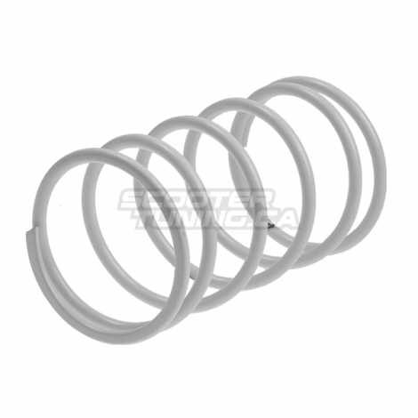 Torque spring Malossi Original (White)