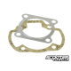 Gasket set 50cc (39mm) AF16-AF18