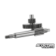 Primary gear kit Stage6 13/43 Minarelli