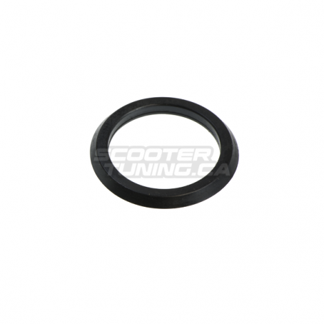 Lower Fork Bearing Seal (Bws/Zuma 2002-2011)