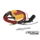 Honda Ruckus plug & play EVI performance CDI/Coil combo
