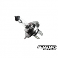 Headlight Bulb (Honda Ruckus)