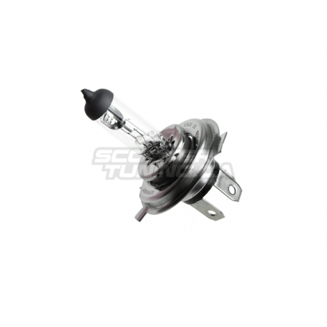 Headlight Bulb (Honda Ruckus)