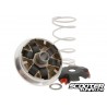 Variator Malossi MULTIVAR