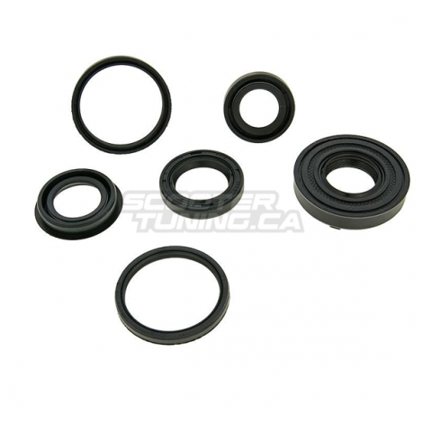 Engine Oil Seal Set Naraku Minarelli (Crankshaft & Gearbox)