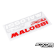 Malossi sticker 22x5,5cm