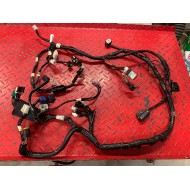 Wiring Harness - Zuma 50F 2012+ - SEE PICTURE - USED ITEM
