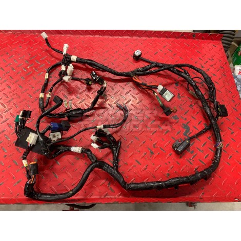 Wiring Harness - Zuma 50F 2012+ - SEE PICTURE - USED ITEM