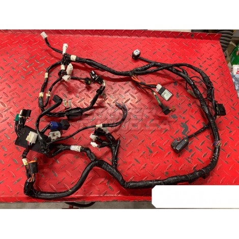 Wiring Harness - Zuma 50F 2012+ - SEE PICTURE - USED ITEM