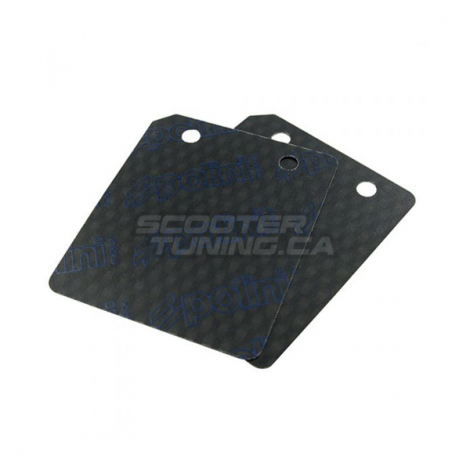 Carbon Reeds Polini Evolution Minarelli / Piaggio