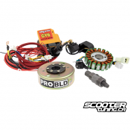 Honda Ruckus GY6 Rolling Wrench Engine Swap Harness (18 Pole Stator)