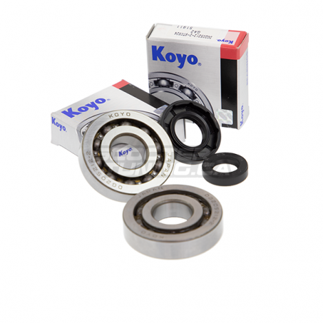 Crankshaft Bearings Motoforce (PGO-Genuine)