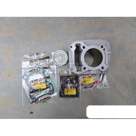 cylinder kit malossi 3115695 for piaggio 125/150 injection