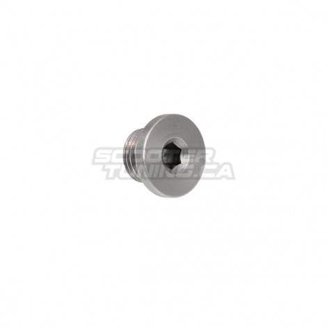 O2 Sensor Block-Off Bolt M12x1.25 Bws / Zuma / C3 50F (4T)