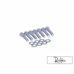 CVT Cover Bolt Kit for Honda Ruckus GET