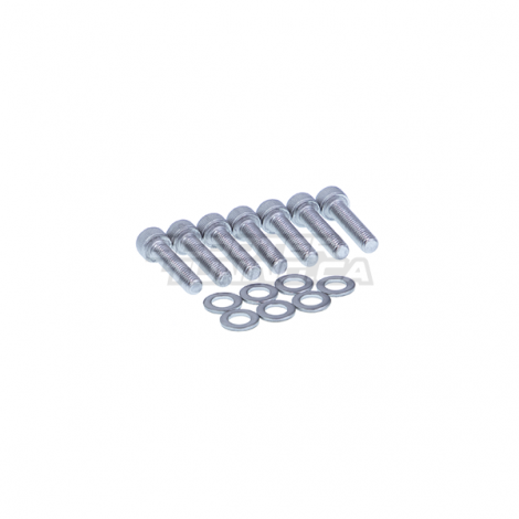 CVT Cover Bolt Kit for Honda Ruckus GET
