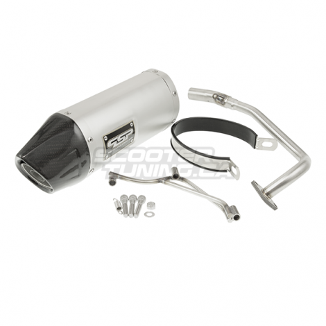 Exhaust PSP Ruckus Fatty (Carbon Tip)