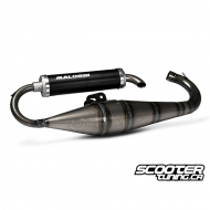 Exhaust system Malossi MHR TEAM Piaggio