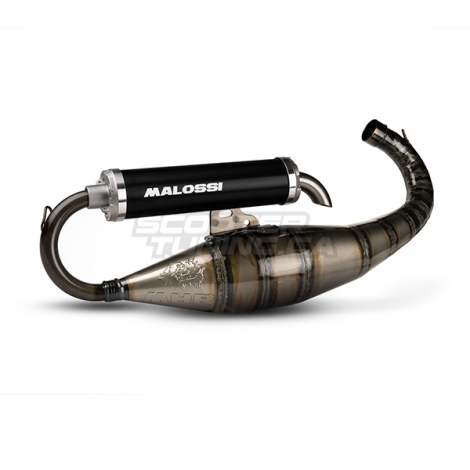 Exhaust system Malossi MHR TEAM 2