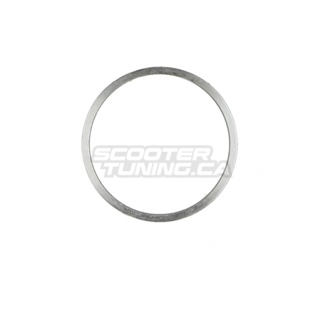 Torque Spring Washer (Honda Ruckus)