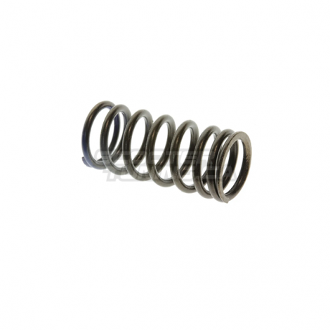 Valve Spring (Honda Ruckus)