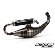 Exhaust Malossi MHR Team Testa Rossa 100cc (C / RC-ONE)