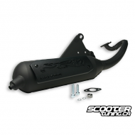 Exhaust Malossi Wild Lion (Genuine / PGO)