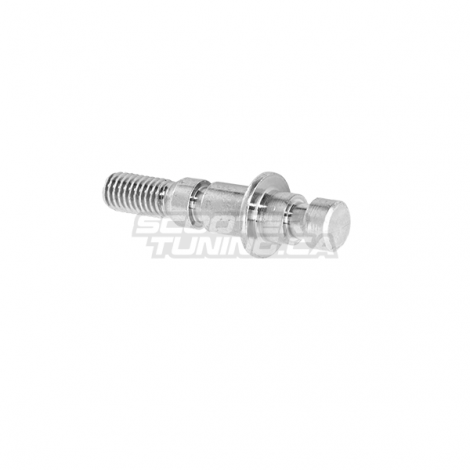 Rear Brake Pin Pivot (Zuma 50F 2012+)
