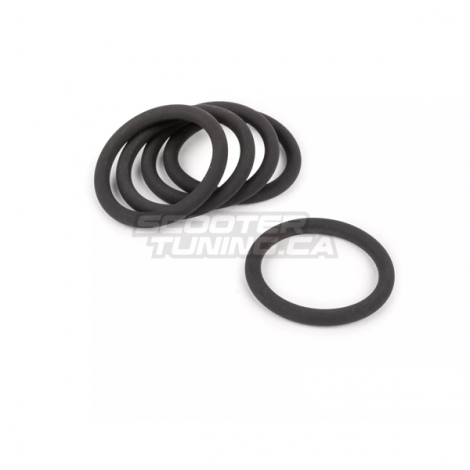 Silencer Flange O-Ring (1X)