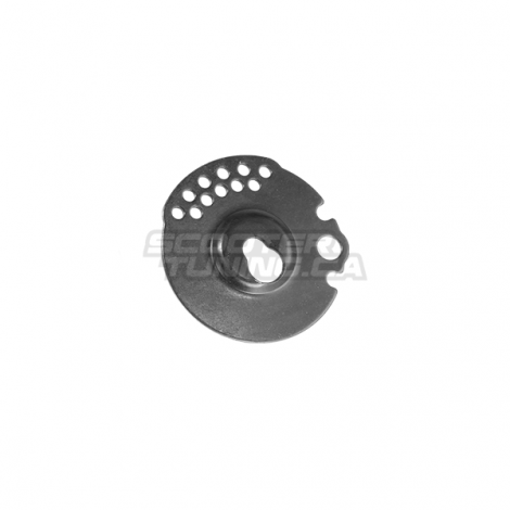 Water Pump Plate (Zuma 50F 2012+)