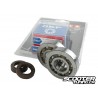 Crankshaft bearing Stage6 HQ