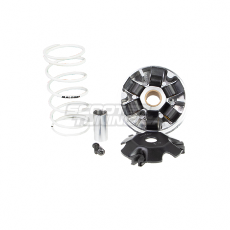 Variator Malossi Multivar 2000 Honda Navi