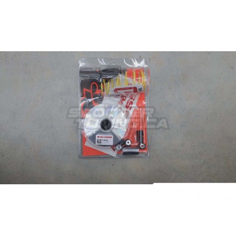 malossi multivar variator part number 5119760