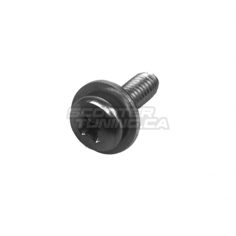 Side Cover Screw (Bws/Zuma 2002-2011)