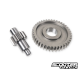 Airbox Eliminator Ruckus / Metropolitan Type 2 (Uni)
