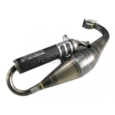 Exhaust system Polini Evolution 2010