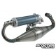 Exhaust system Malossi MHR TEAM