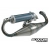 Exhaust system Malossi MHR TEAM