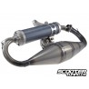 Exhaust system Malossi MHR TEAM 2