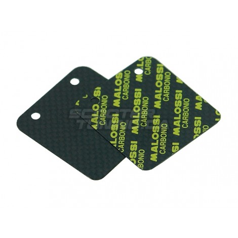 Replacement reeds Malossi VL14