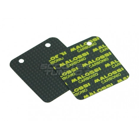 Replacement reeds Malossi VL14
