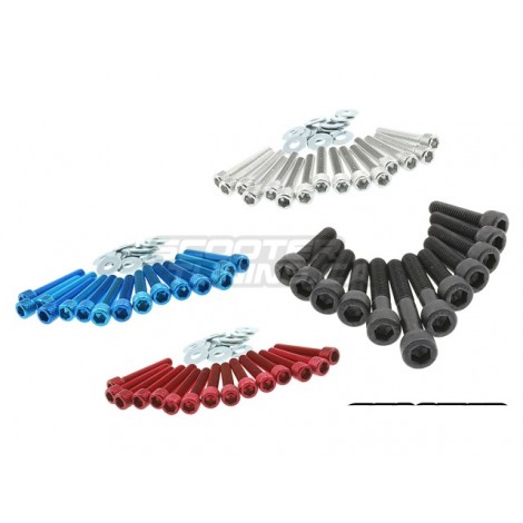 Engine case screws STR8