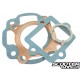 Gasket set Motoforce 50cc 