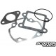 Gasket set Polini sport 50cc 