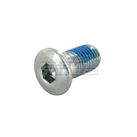 Screw Motoforce M10x1.25x15 (brake disc)