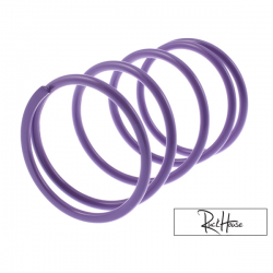 Torque spring Malossi Purple +82%  Piaggio-GY6